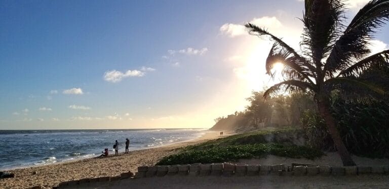 Sunset view of Xai Xai Beach in Mozambique with palm trees and ocean waves.