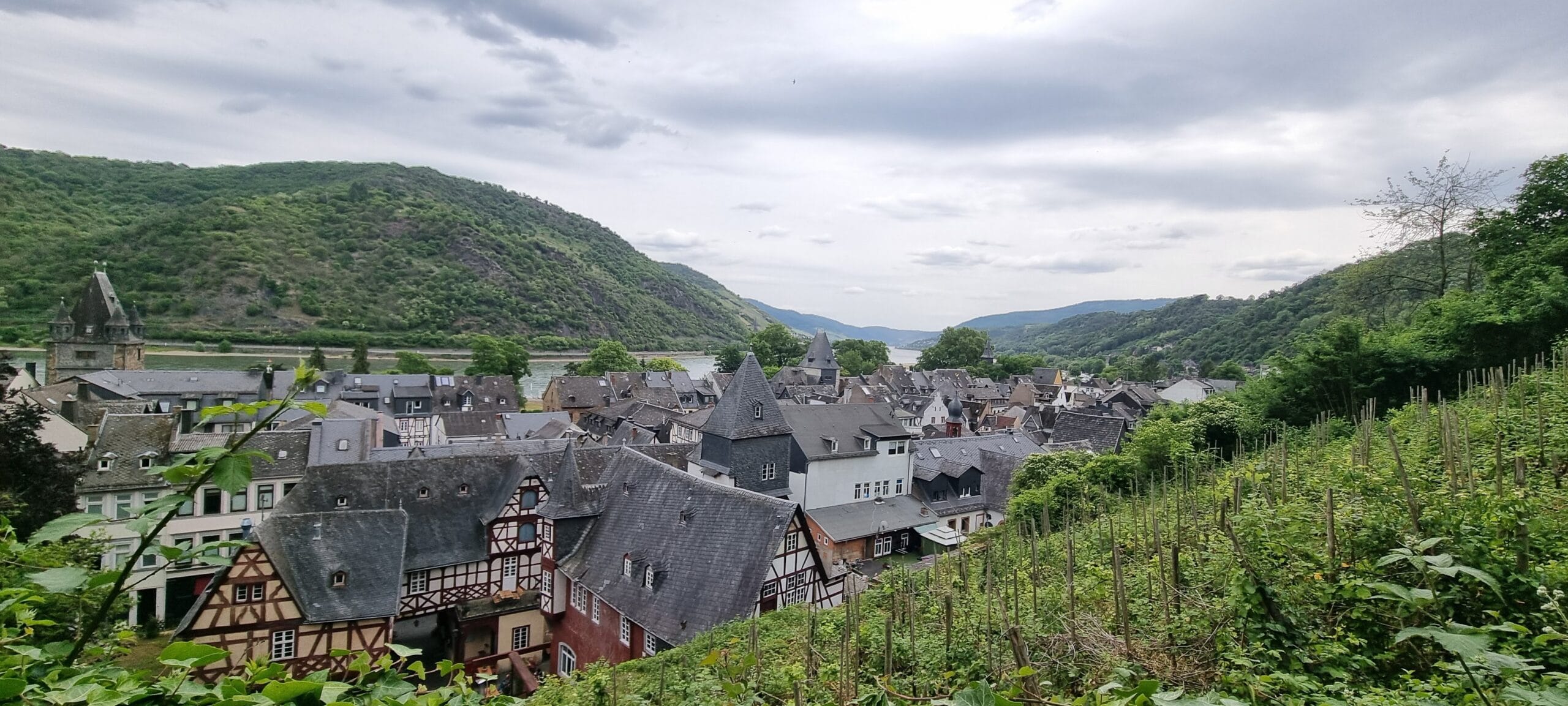 🏰 Bacharach, Germany: A Storybook Town on the Rhine